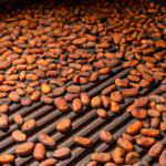 how-to-roast-raw-cacao-beans-oven.png