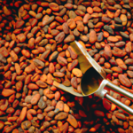 raw-cacao-nibs-how-its-made.png