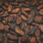 what-are-raw-cacao-beans.png