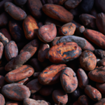 what-do-raw-cacao-beans-taste-like.png
