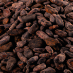 what-do-raw-cacao-nibs-taste-like.png