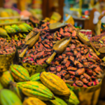 where-can-i-buy-raw-unprocessed-cacao.png