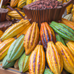 where-to-find-buy-raw-cacao.png