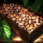 where-to-get-raw-cacao-beans.png