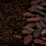 which-is-better-raw-or-cooked-cacao-nibs.png