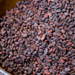 why-are-raw-cacao-nibs-so-high-in-calories.png
