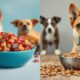 freeze dried dog food benefits