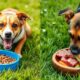 kibble and raw food compatibility