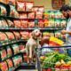 raw dog food costs