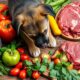 raw food benefits puppies