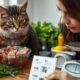 raw food debate for cats