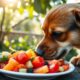 raw food dog odor facts