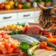 raw food for cats