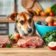 starting your dog s raw diet