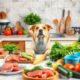 raw dog food guide