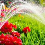 best lawn sprinklers 2025