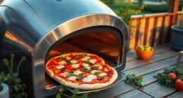 top home pizza ovens