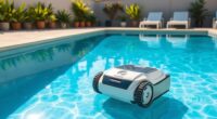 affordable pool cleaning solutions