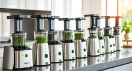 affordable wheatgrass juicer options