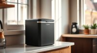 silent apartment ice makers