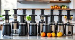 top affordable cold press juicers