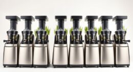 top heavy duty wheatgrass juicers
