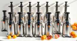 top home juice presses