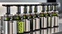 top horizontal juicer picks