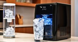 top ice makers with water filters