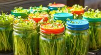 top mason jar sprouting lids