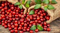 top organic goji berries deals