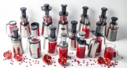 top pomegranate juicers list
