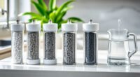 top sediment carbon filter combos