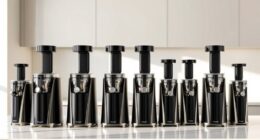 top small space juicers
