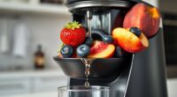 top soft fruit juicer reviews