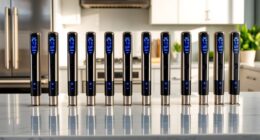 top sous vide stick picks