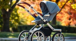 luxury jogging strollers