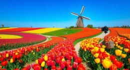 spring drives and picnics