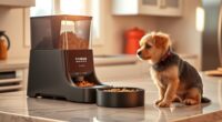 top automatic pet feeders