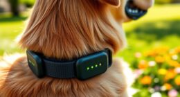 top gps dog collars