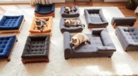 top luxury cat bed options