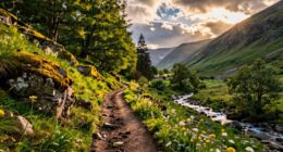 embrace imperfection find balance