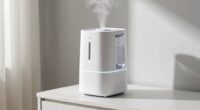 top air purifier humidifiers