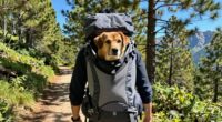 top dog hiking backpack carriers
