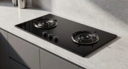 top double burner induction cooktops