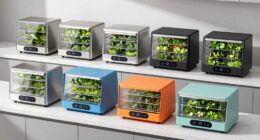 top herb drying devices