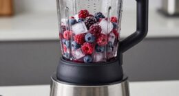 top ice crushing blender picks