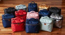 top premium adult lunch bags