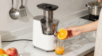 6 Best Easy-Clean Slow Juicer For Families In 2026