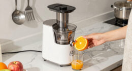6 Best Easy-Clean Slow Juicer For Families In 2026